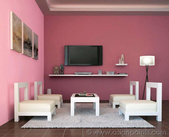 Ice Grey (8259) House Wall Painting Colour